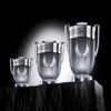 Invictus Platinum Paco Rabanne – Parfum pour homme – Eau de Parfum - Afbeelding 4